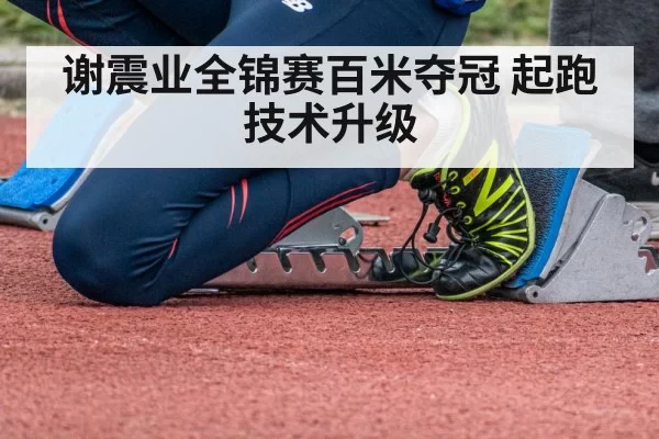 sprinter starting blocks - LEYU SPORTS